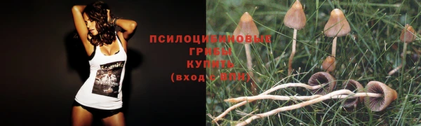 гидропоника Белокуриха
