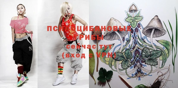 гидропоника Белокуриха
