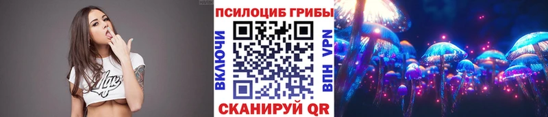 Псилоцибиновые грибы MAGIC MUSHROOMS  shop телеграм  Тихвин 